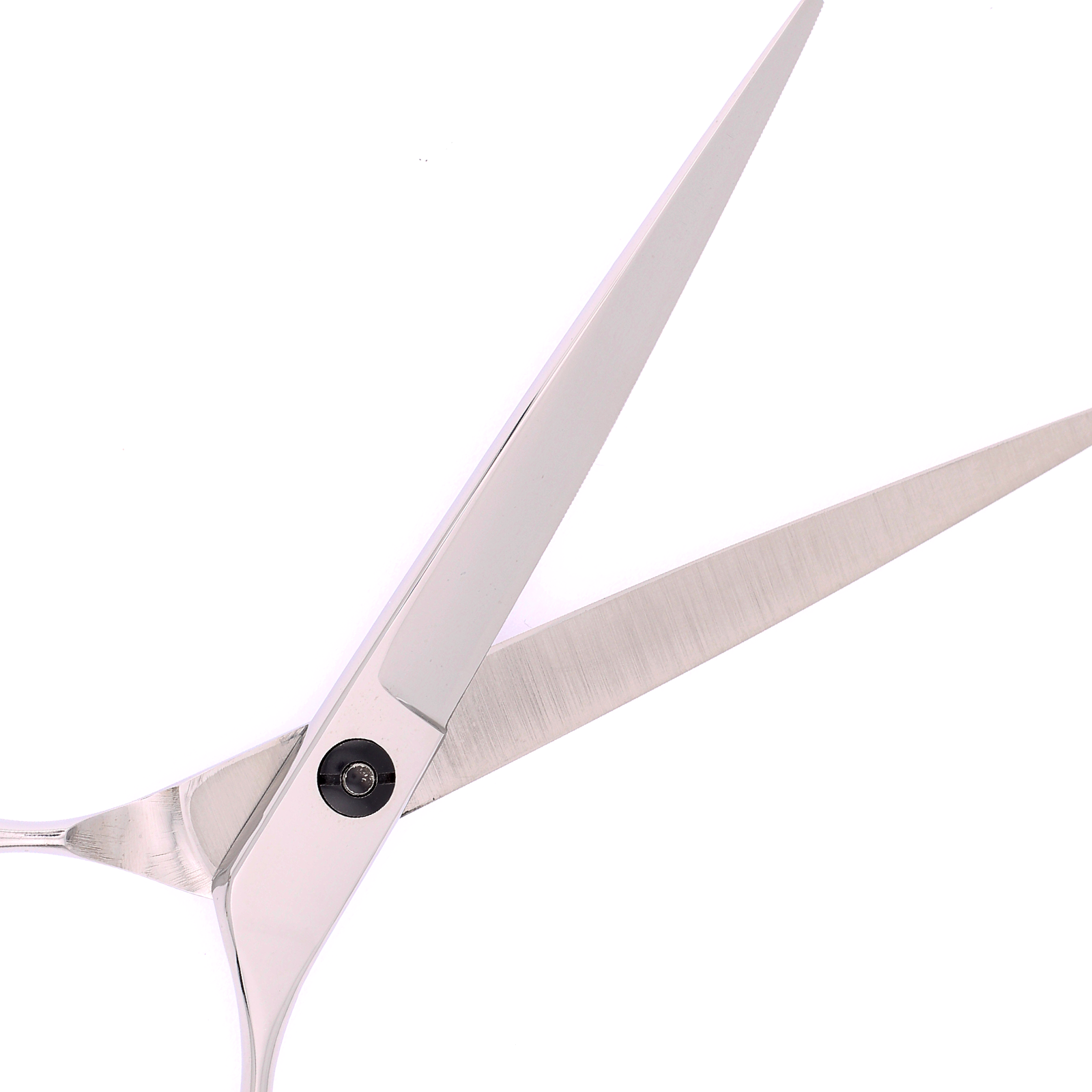 Titan Shears - Apex Straight 440C Convex RH STR 7" image 3